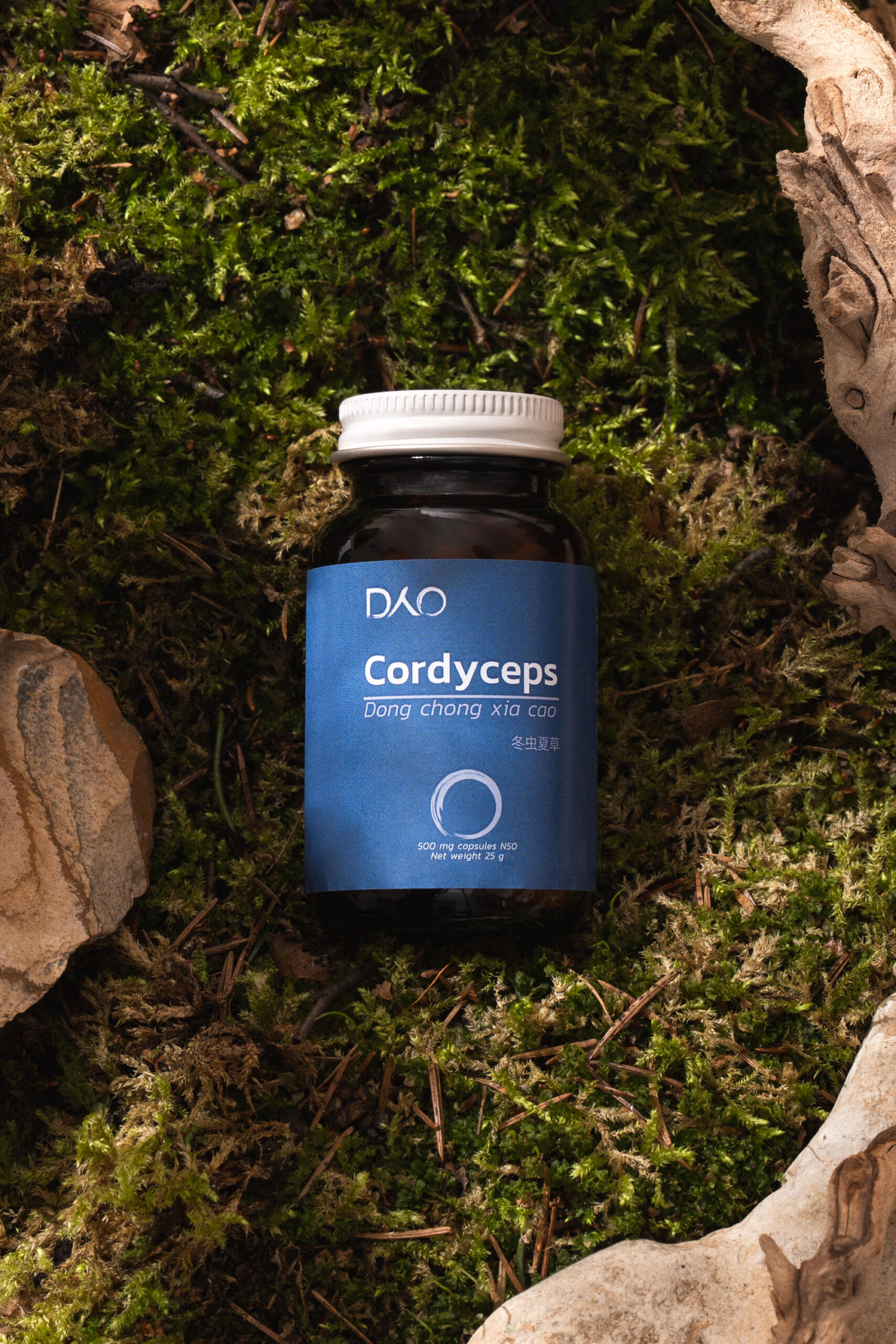 Korditseps spooride ekstrakt - Image 2