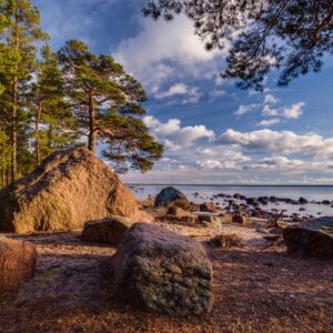 4-päevane tervendav kehapuhastus dr Bürklandiga (1 inimene)