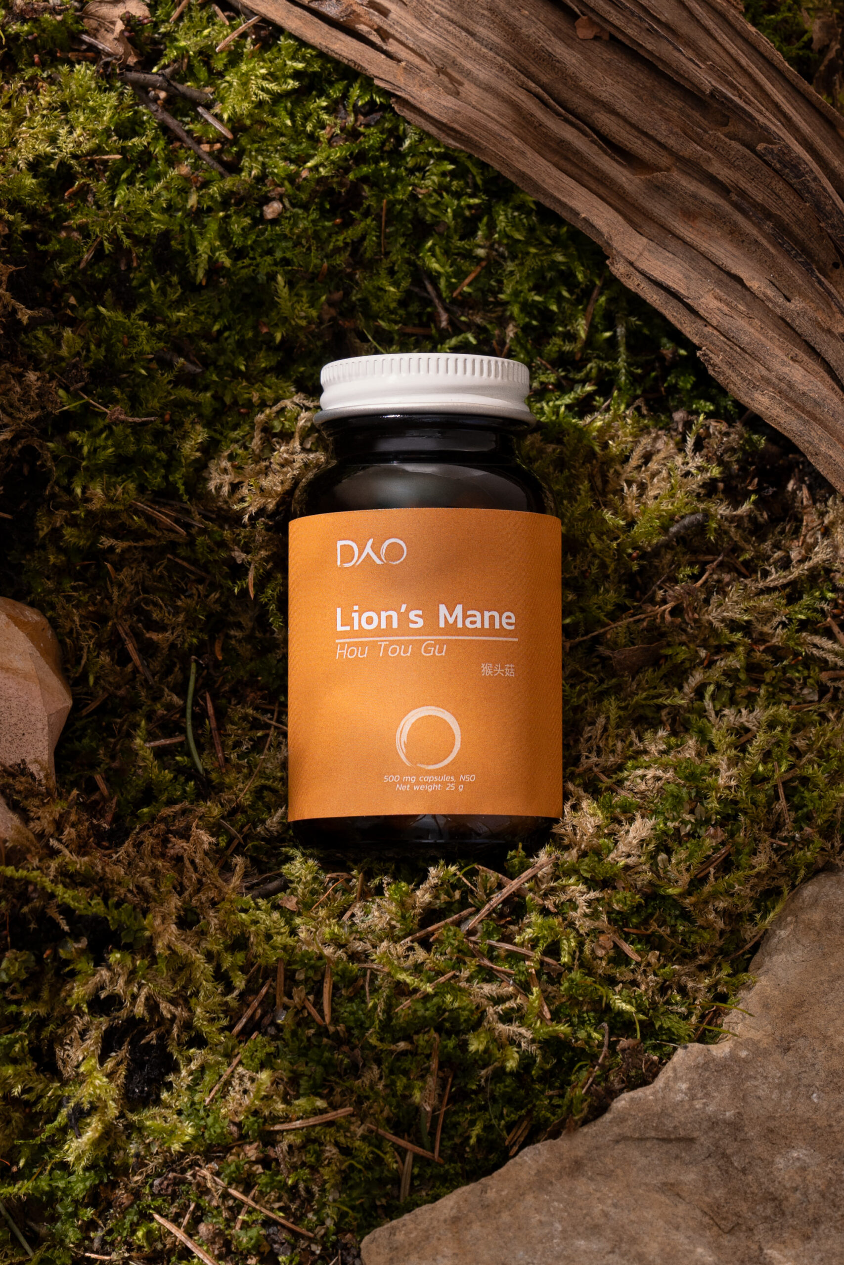 Lion's Mane ehk Lõvilakk-korallnarmik - Image 2